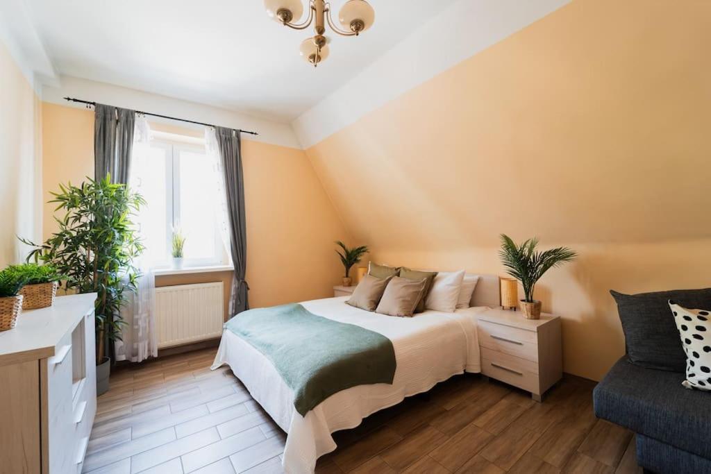 Market Square - Street Rynek 24 -2 Rooms Wrocław Zewnętrze zdjęcie